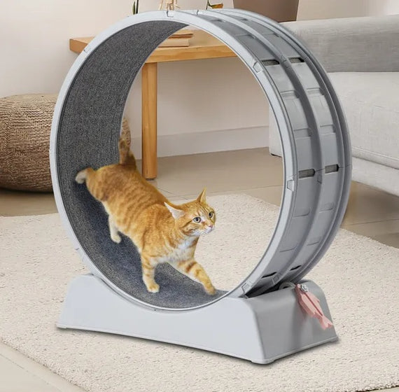 Cat Exercise Wheel, 31 Inch Cat Wheels For Indoor Cats, Cat Treadmill Wheel Exerciser With Carpeted Runway