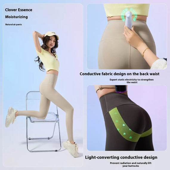 High Waist Shark Pants Belly Compression Leggings Outer Wear